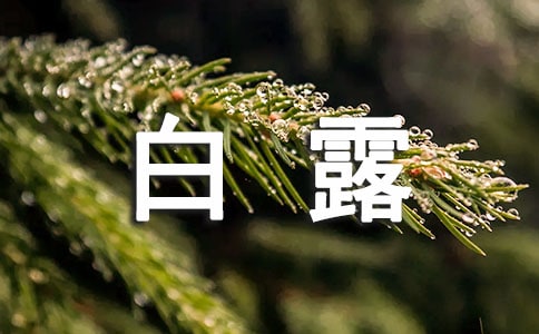 ��¶��֪ʶ