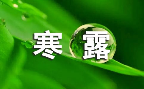 ��¶������֪ʶ