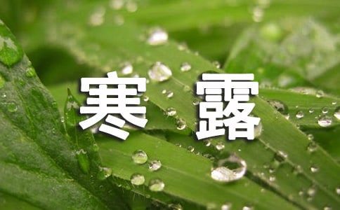 ��¶������������ʶ