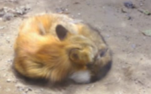 �������ѻ�����±����꼶