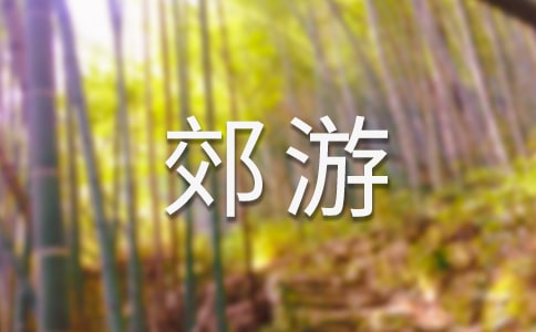 一次郊游作文(集合8篇)