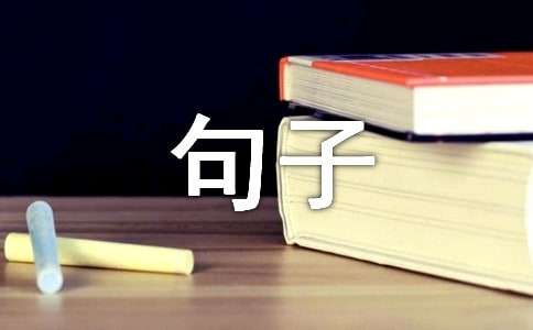 2021�꾫ѡ�����ѹ��ľ���81��