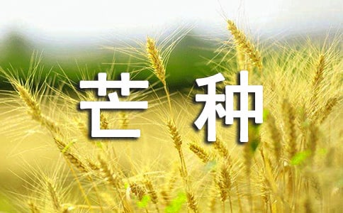 芒种节气的来历和风俗