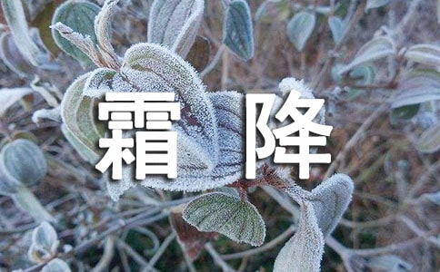 ˪����������