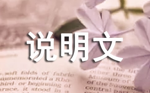 ����˵���ĵ����Ļ��ܾ�ƪ