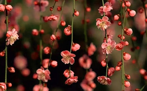 �һ�������[����3ƪ]