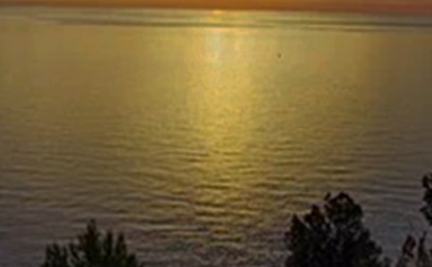 ����ϵ�簲�ʺ�����ż���32��