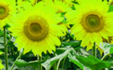 �۲����տ��ռ�
