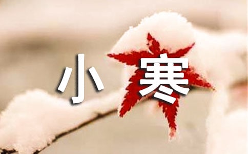 С������ϰ��