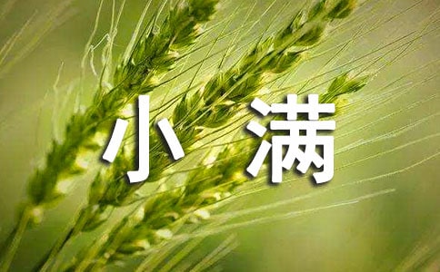 С����ܰ�ʺ����ȫ����ѡ50�䣩