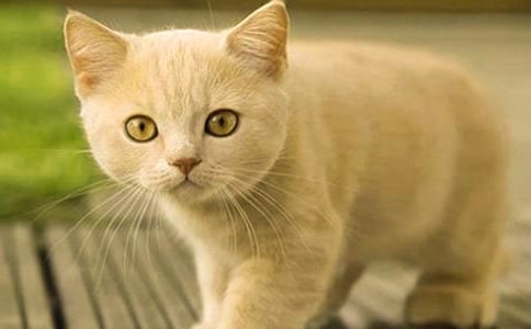 ������Сè�۲��ռ�