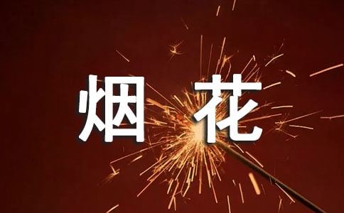 (必备)燃放烟花作文
