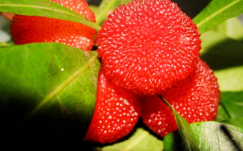 �Ұ��������÷���ģ�ͨ��42ƪ��