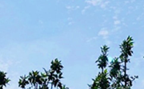 ���ڸ����簲˵˵��ȫ90��