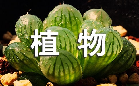 ��������ֲ��۲��ռ�ģ�����5ƪ