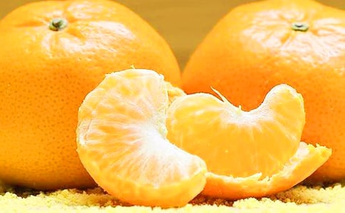 С���ѧ���ӽ̰�