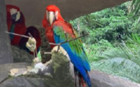 ���Ĺ۲��ռ�(15ƪ)