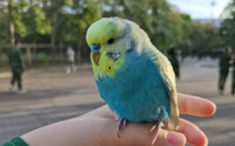 ���ĵ�����600��10ƪ