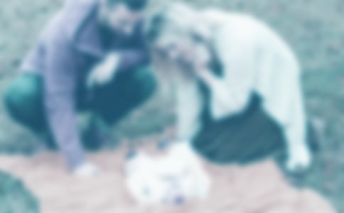 ��л�ְ�������ż��ϣ�15ƪ��