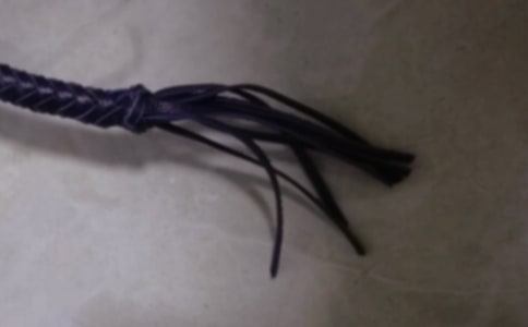 ���꼶�²ᡶ������ı��ӡ����ʽ̰�