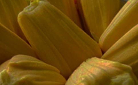 菠萝蜜_700字