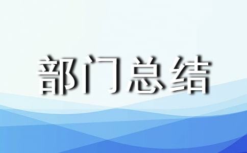 ��Ȳ����ܽᱨ�淶��