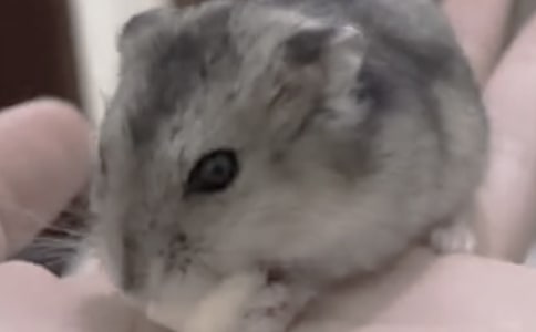 �ɰ��Ĳ������ġ�����10ƪ��