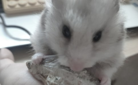 �ɰ��Ĳ������ģ�����15ƪ��