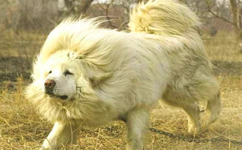 �ִ����Ķ�������Ϊʲô���ܵ���Ȯ����Ŀ����
