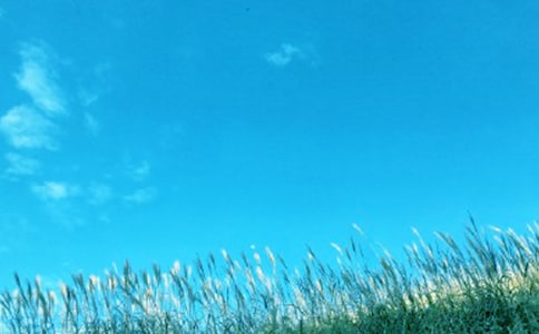 �������˰˰���㻹��֪�Ұ���