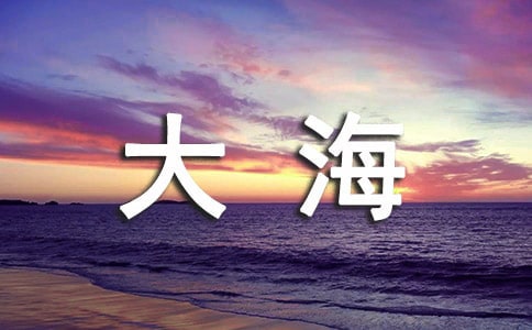 �󺣵ľ���̾�