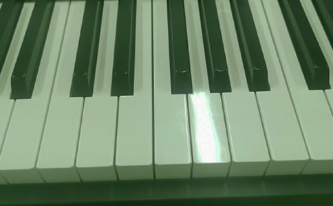 ���������ĳ���15ƪ