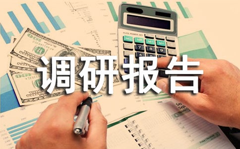 档案工作情况调研报告范文