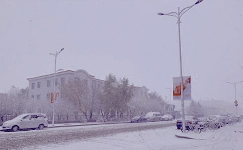 ���ղкɣ����ջƻ�