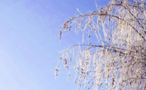 ��д���쾰ɫ������