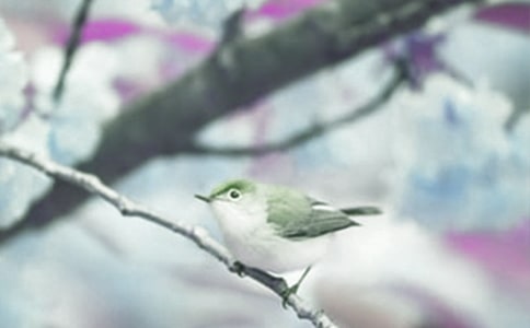 Ұ����ֲ�������ܽ�