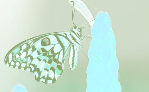 ��ֲ��۲��ռ�200��