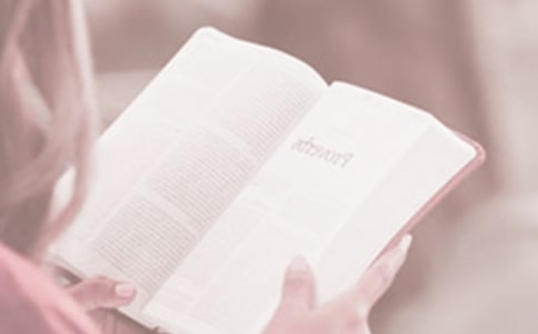 �����ռ�600��