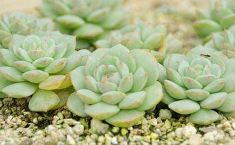 �ҼҵĶ�������[����15ƪ]