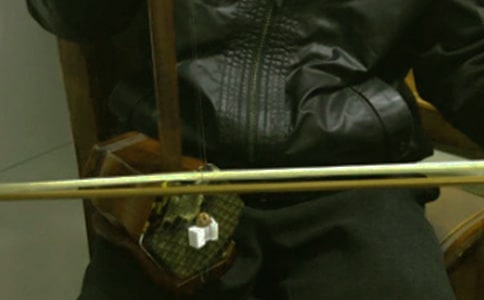 流浪的二胡作文