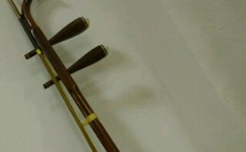 【必备】我和二胡作文2篇