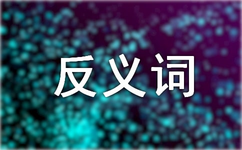 ī�سɹ�ķ���ʼ�����