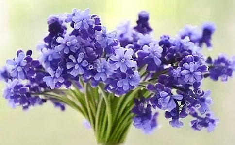�����š�����������15ƪ