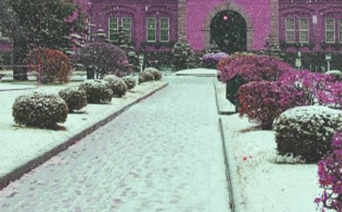 ��ѩҹ����ʫ��