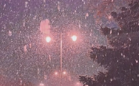 ���ڷ�ѩ���Ƶ�ʫ������