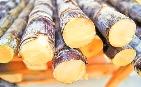 甘蔗的功效与作用及食用方法