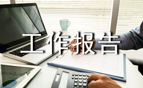 廉洁风险防控工作报告范文