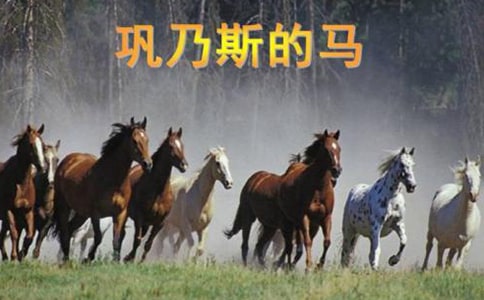 《巩乃斯的马》阅读答案