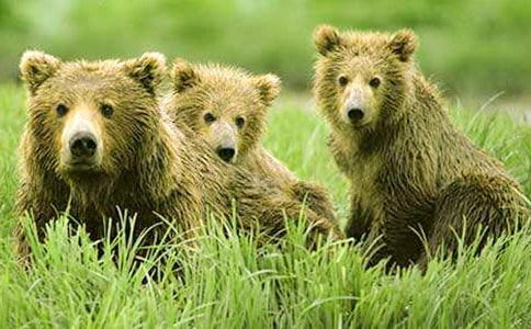 С����Ϸ����̰�����ѧ��˼��С���ڹ��ܽű���·�ˡ�