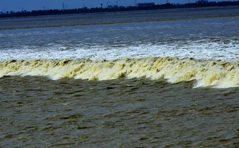 Ǯ�����۳�����[����]